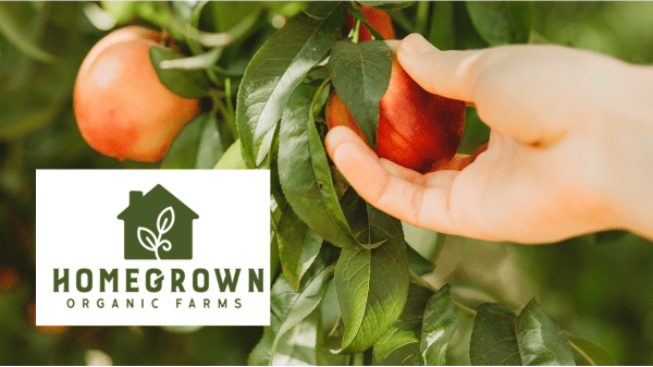Homegrown Organic Farms Final Stonefruit Banner