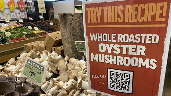 central market oyster mushrooms