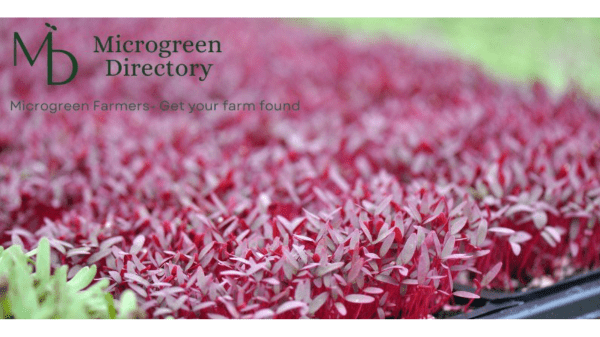 microgreen directory
