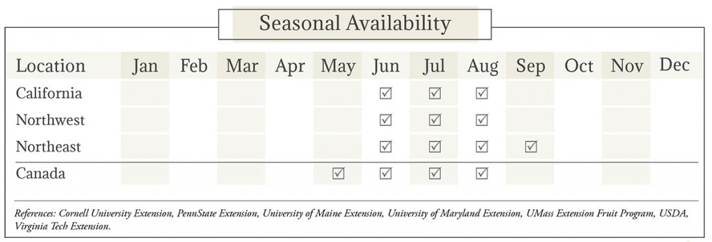 Currants and Gooseberries Seasonl Availability Chart