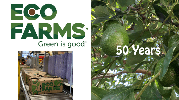 Eco Farms celebrates 50 years of avocados