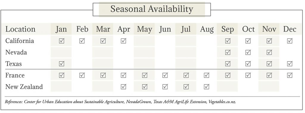 Jerusalem Artichokes Seasonal Availability Chart