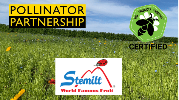 Stemilt Pollinator Partnership to Celebrate Bee Friendly Farming Certification
