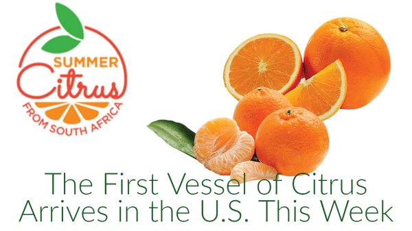 Summer Citrus South Africa - Summer Season Begins