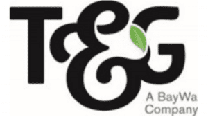 Wereldwijd T&G-logo