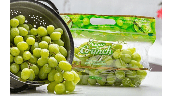 pandol brothers green grapes
