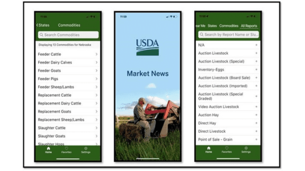 usda market news app