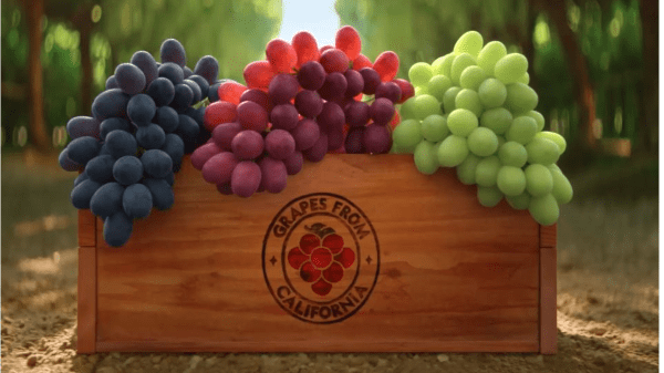California Goodness Campaign Highlights Pride in Growing Table Grapes