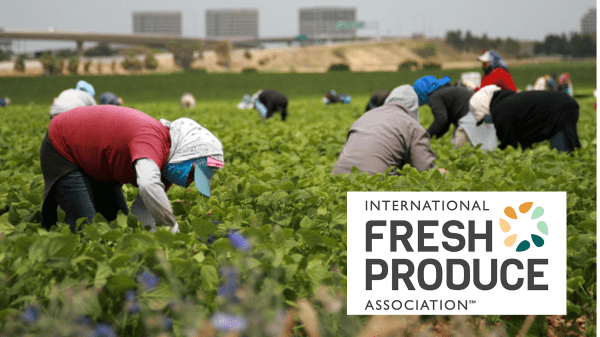 IFPA’s Cathy Burns Joins Call to Demand Senate Action on Farm Labor Shortage to Address Rising Food Costs