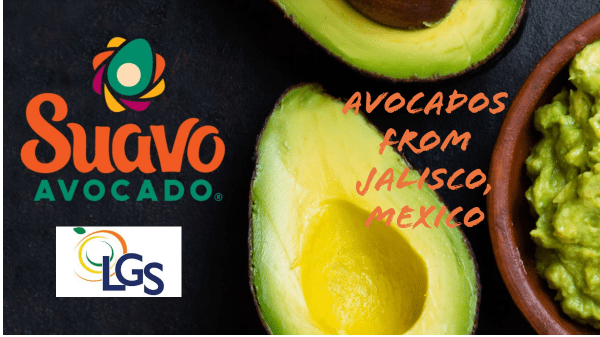LGS Specialty Sales Begins Sourcing Avocados from Jalisco, Mexico