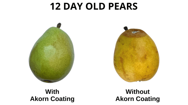 akorn coating pears