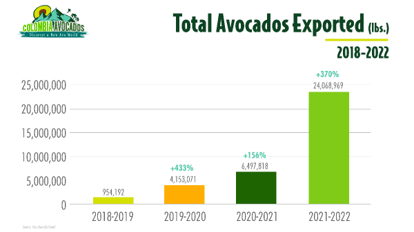 Colombia Avocados Extraordinary Growth Presents Opportunities for US Retailers