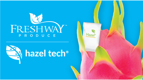 Freshway™ Produce and Hazel Tech® Dragon Fruit Quality Extension Collaboration Continues into Third Year