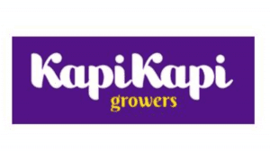 KapiKapi Logo