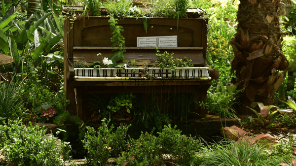 forest piano
