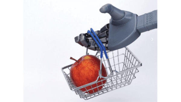 robot grocery future