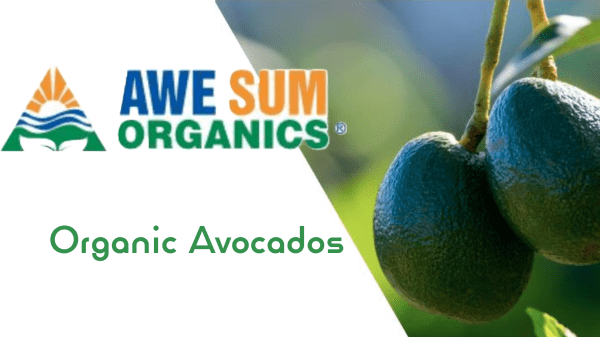 Awe Sum Organics makes key hires to support the launch of organic avocados