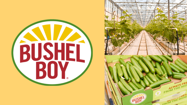 Bushel Boy Farms Launches Year-round, Greenhouse-grown Cucumbers in Midwest