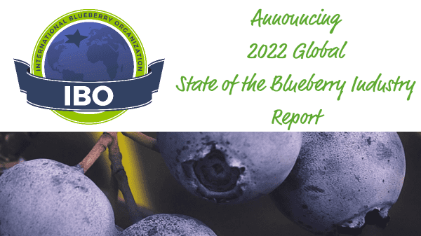 IBO State of the Blueberry Industry Report available