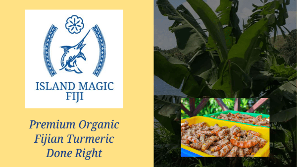 Premium Organic Fijian Turmeric Done Right