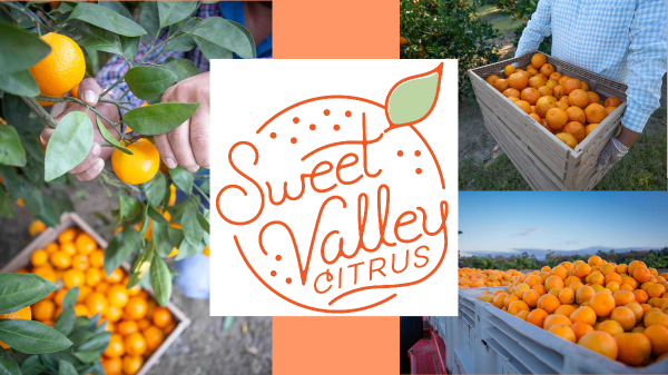 Sweet Valley Citrus - Strong Promotable Volumes for 2022 Satsuma Season