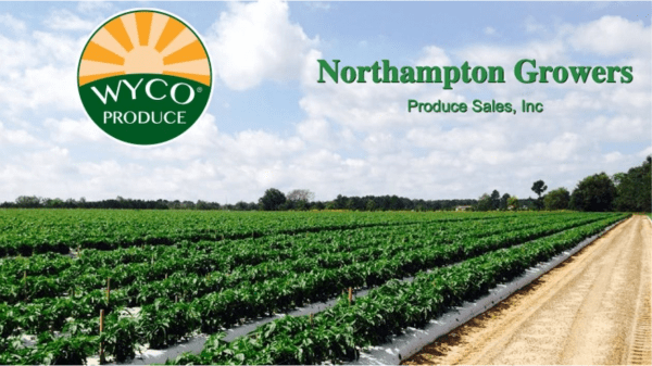Wyco Produce to merge with Northampton Growers