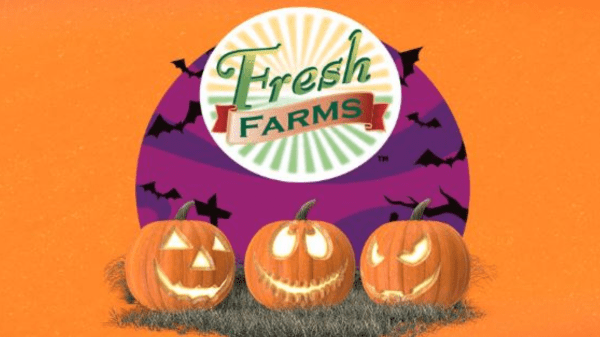 Fresh Farms - PUMPKIN SEASON – HALLOWEEN IS COMING!