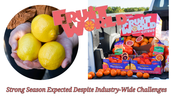 Fruit World Anticipates Abundant Organic California Lemon Crop