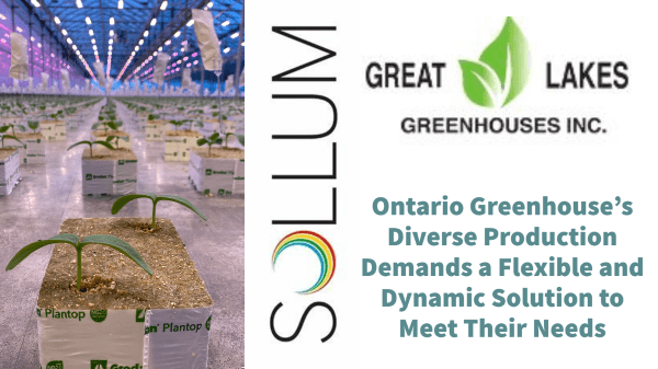 Great Lakes Greenhouses begins new chapter with Sollum's dynamic LED grow lights