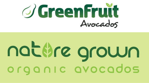 GreenFruit Avocados - Officially Organic Certified - Columbia