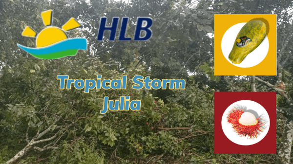 HLB - Tropical Storm Julia & Imports