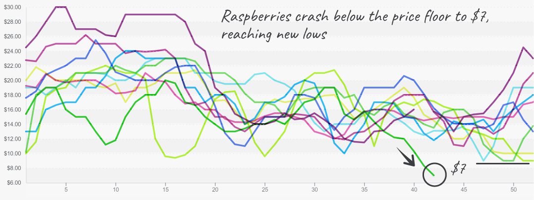Raspberries_graph_october24_2022