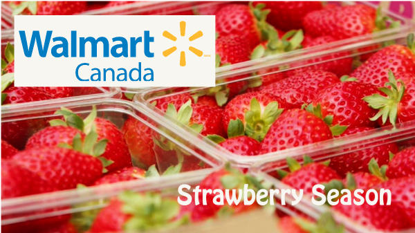 Fresh Canadian Strawberries Now Available Year Round - Walmart Canada
