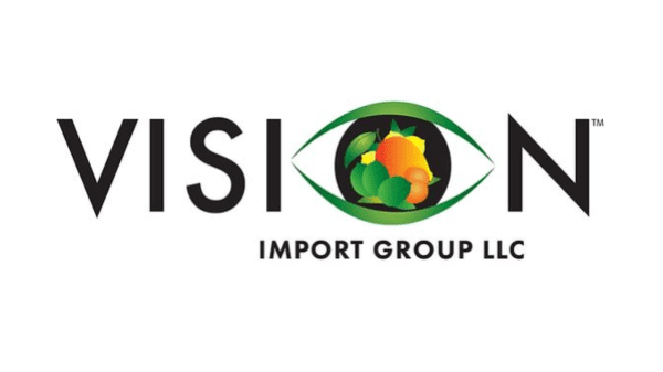 vison import group logo