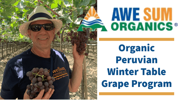 Awe Sum Organics’ Winter Organic Table Grapes will Arrive Soon!