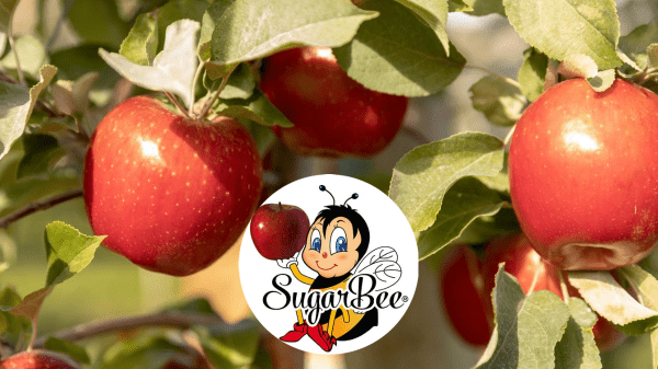 SugarBee® Apples to be Sold Collaboratively with Powerful New Partnership