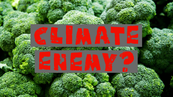 broccoli climate enemy