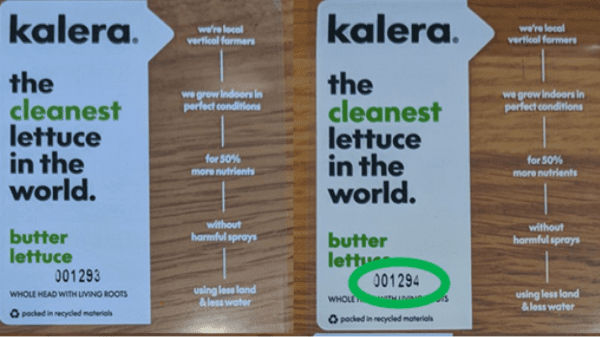kalera lettuce recall