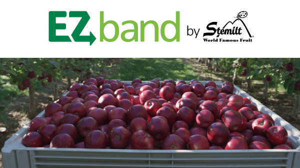 Cosmic Crisp® Apples Become Year-Round Variety and Catches Organic Ring with Stemilt’s EZ Band
