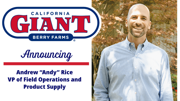 California Giant Berry Farms Appoints Andrew Rice as Vice President of Field Operations and Product Supply
