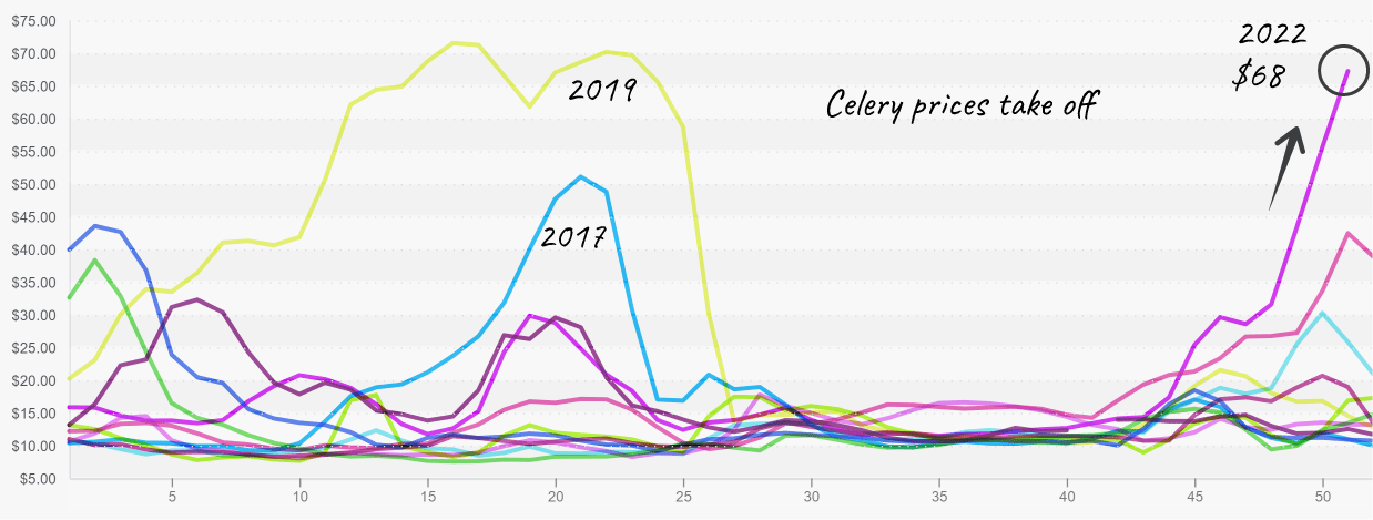 ProduceIQ celery prices rising to new highs