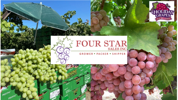 Four Star Fruit Reflects on the Concluding Grape Season