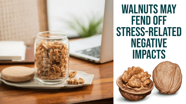 New Study shows Walnuts May Fend Off Stress-Related Negative Impacts