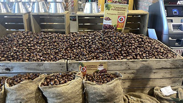 seabra foods portugese chestnuts