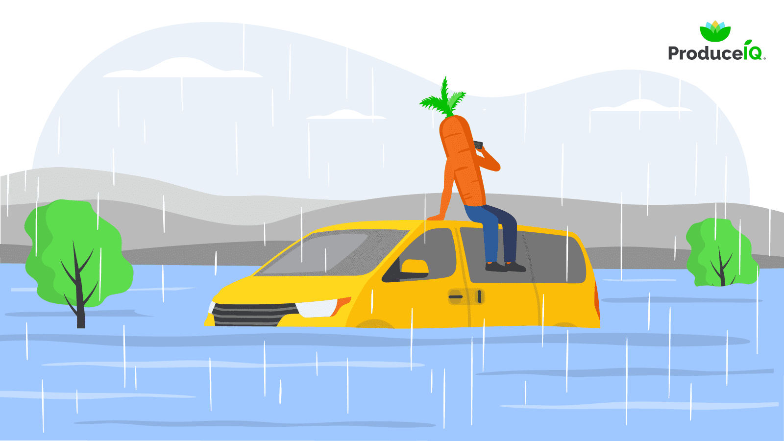 Flooded-california-carrot