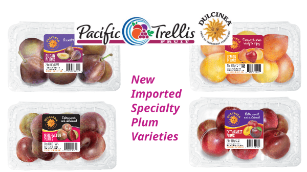 Pacific Trellis Fruit Announces New Specialty Imported Plums