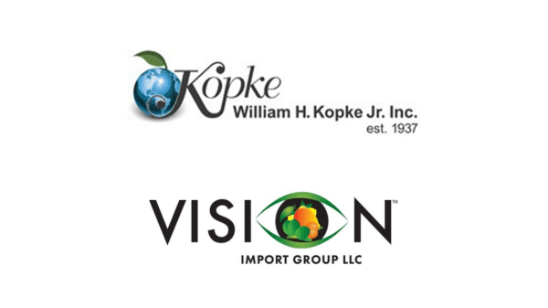 kopke vision logos