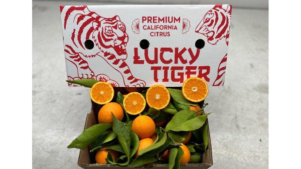 lucky tiger fruit world citrus