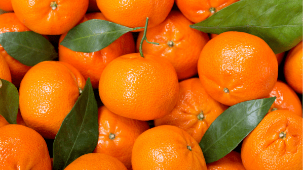 mandarin orange stock