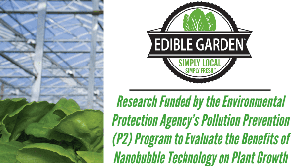 Edible Garden announces research partnership to study 'Nanobubble' technology